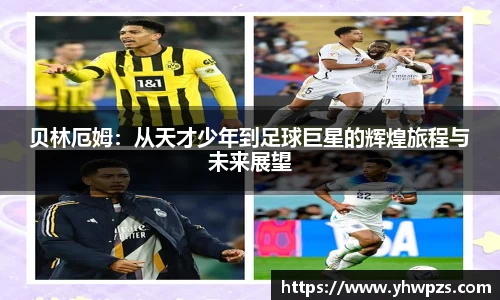 德赢官方
